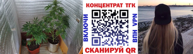ТГК Wax  Кувшиново 